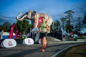 BIB: 
                            <button type="button" onclick="openModal(26541570)" class="btn btn-primary btn-sm float-right btn-popup" data-toggle="modal" data-target=".modal-high-quality">
                        <i class="fas fa-shopping-cart"></i> Add to Cart
                    </button>
                                            <button type="button" onclick="isThisMe(26541570, true)" class="btn btn-success btn-sm float-right btn-popup btn-isme hidden" data-toggle="tooltip" data-placement="bottom" title="นี่คือรูปของคุณใช่ไหม คลิกที่นี่เพื่อเอาเข้าอัลบั้ม">
                        <i class="fas fa-plus"></i> Add to album
                    </button>
                    <button type="button" onclick="isThisMe(26541570, false)" class="btn btn-warning btn-sm float-right btn-popup btn-isnotme hidden">
                        <i class="fas fa-ban"></i> Remove from album
                    </button>